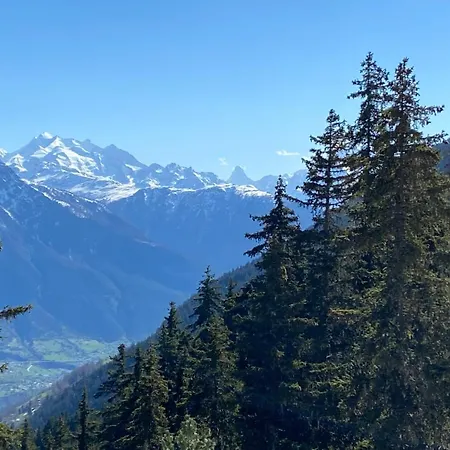 Apartament Brunnen Attika Riederalp